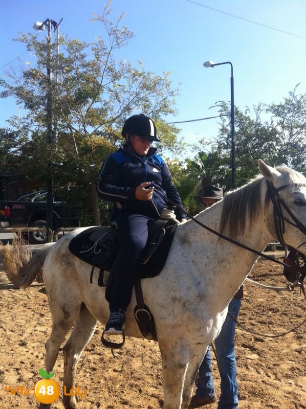 droor re7la ja (4).jpg